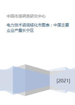 电力技术咨询在绥化市的应用与中国主要企业产量分析——以长宁区技术咨询为例