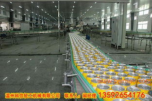 专注椰汁饮料成套生产线 PET椰汁全自动灌装机厂家的综合解析与价格技术咨询